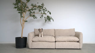 CLOUD COMFORT 2-Piece Modular Sectional Sofa