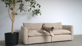 CLOUD COMFORT 2-Piece Modular Sectional Sofa