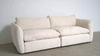CLOUD COMFORT 2-Piece Modular Sectional Sofa