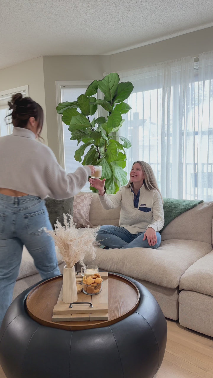 Video of the Cloud Comfort Sofa styled in a cozy interior, showcasing its deep seats, plush cushions, and relaxed modular design.